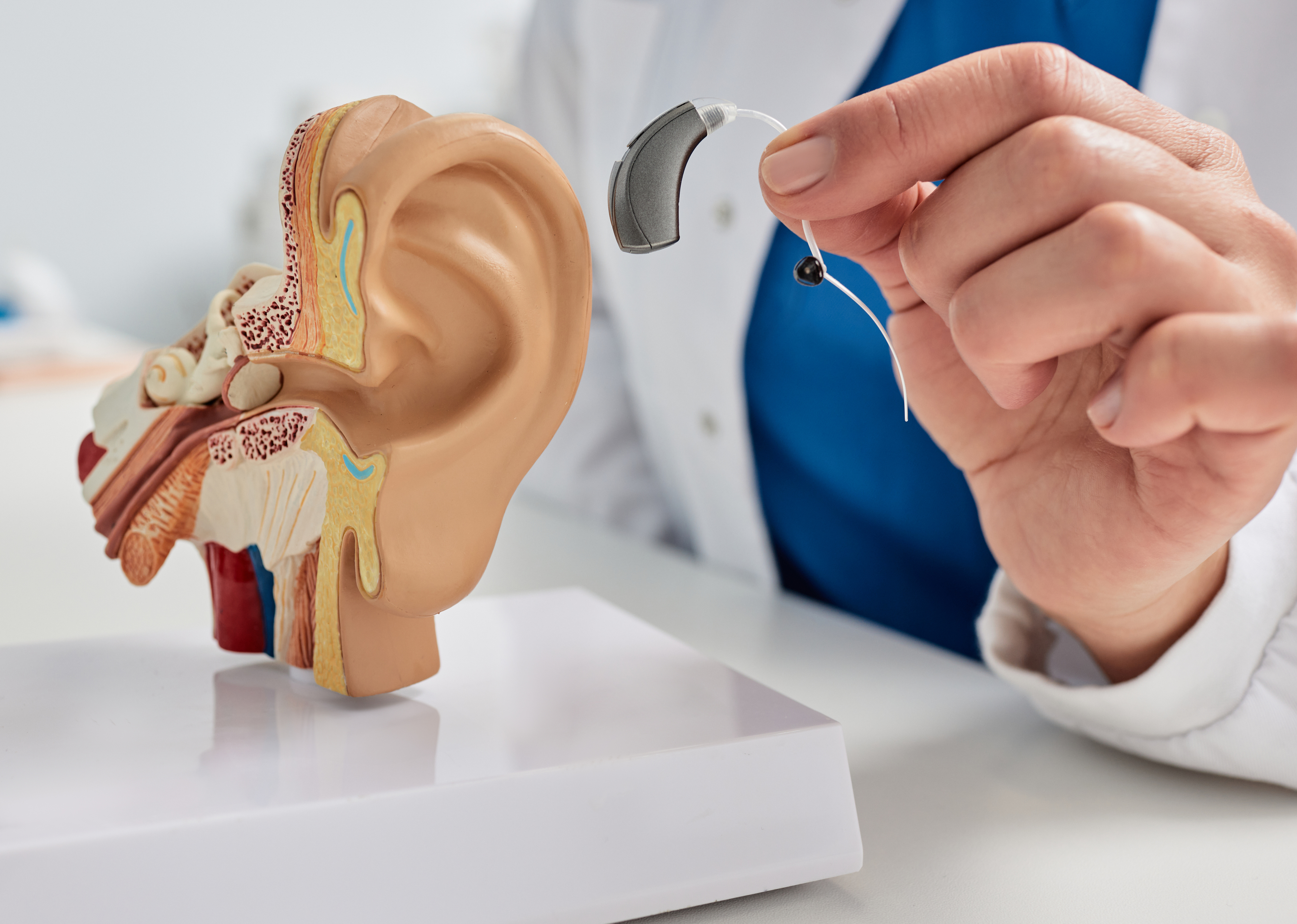 Close-up of BTE hearing aid in audiologist hand near anatomical model of human ear. Presentation of hearing aid
